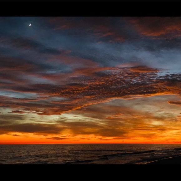 Meet your Posher, Emily - Picture 1 of 1